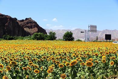 分析称EA私有化后 可能将开发新IP和游戏创新